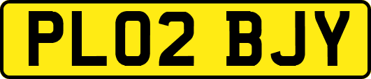 PL02BJY