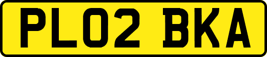 PL02BKA