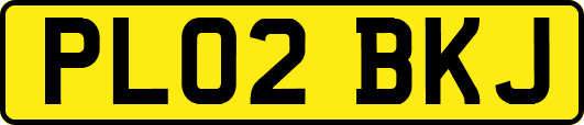 PL02BKJ