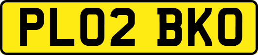 PL02BKO