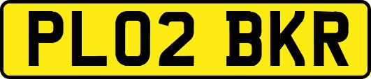 PL02BKR