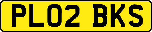 PL02BKS
