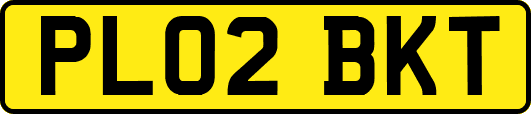 PL02BKT