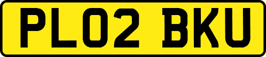PL02BKU