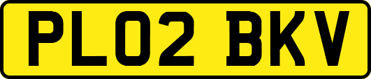 PL02BKV