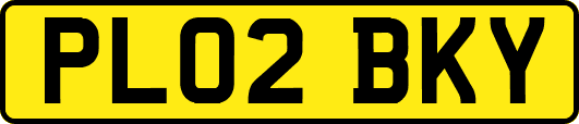 PL02BKY