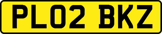 PL02BKZ