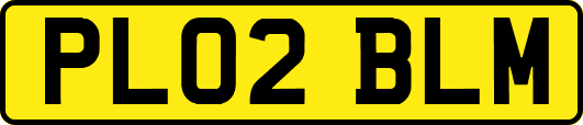 PL02BLM
