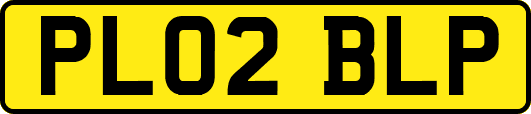 PL02BLP
