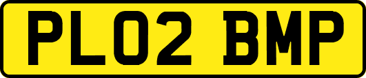 PL02BMP