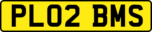 PL02BMS
