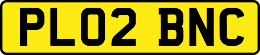 PL02BNC