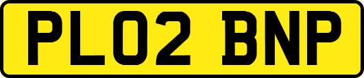 PL02BNP