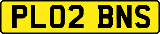 PL02BNS