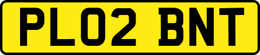 PL02BNT
