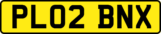 PL02BNX