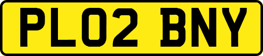 PL02BNY