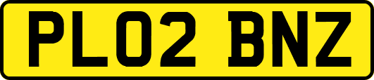 PL02BNZ