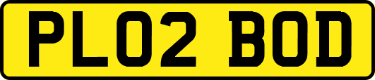PL02BOD