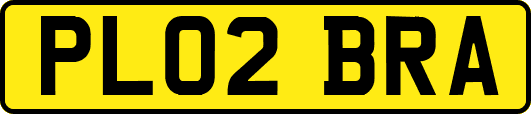 PL02BRA