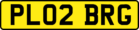 PL02BRG