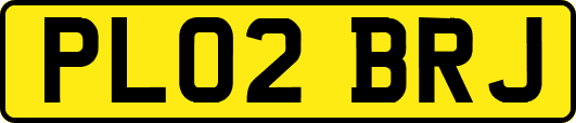PL02BRJ