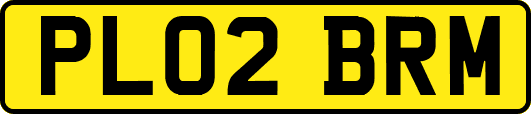 PL02BRM