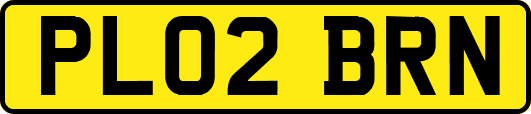 PL02BRN