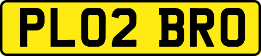 PL02BRO