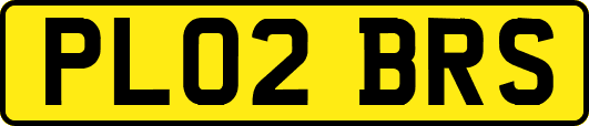 PL02BRS