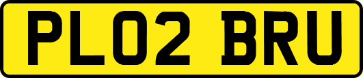 PL02BRU