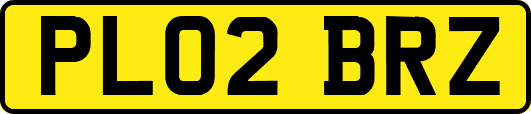 PL02BRZ