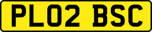 PL02BSC