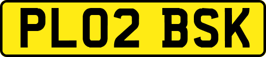 PL02BSK