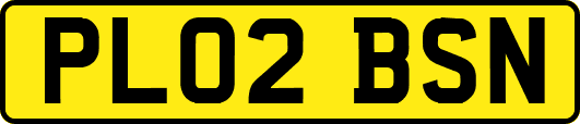 PL02BSN