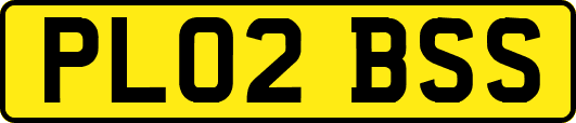 PL02BSS