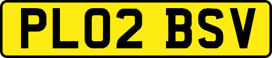 PL02BSV