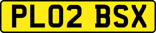 PL02BSX