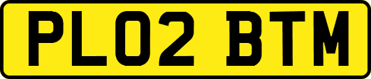 PL02BTM