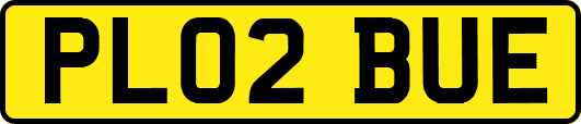 PL02BUE