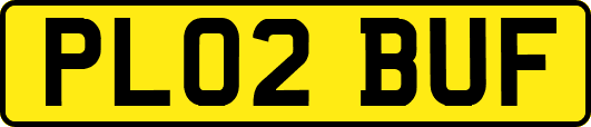 PL02BUF