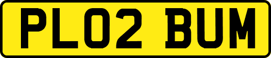 PL02BUM