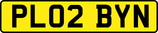 PL02BYN