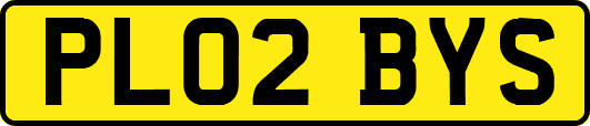 PL02BYS