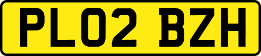 PL02BZH