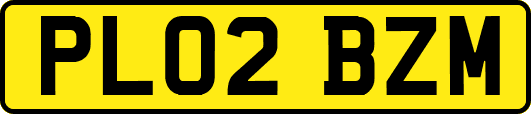 PL02BZM