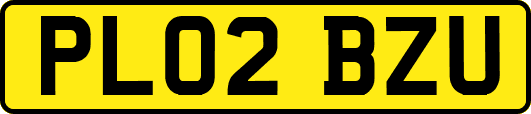 PL02BZU