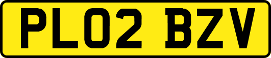 PL02BZV
