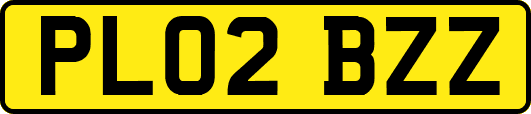 PL02BZZ