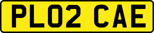 PL02CAE